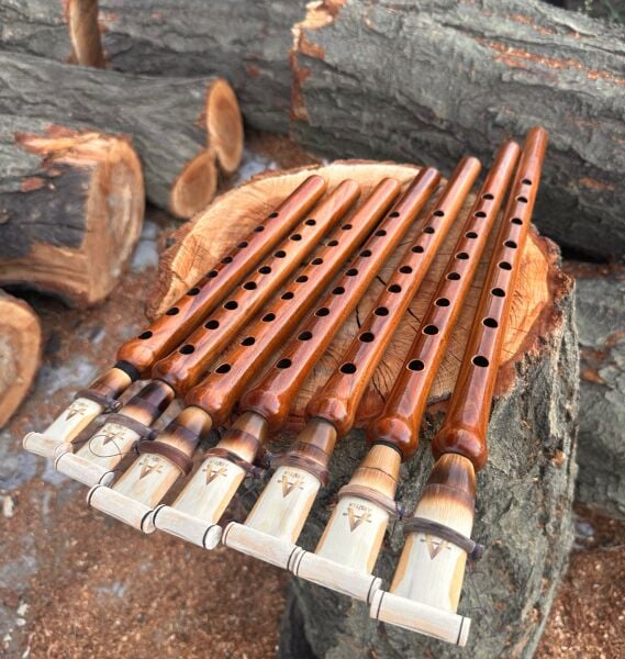 Duduk takımı