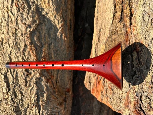 Cocobolo Ağacı Zurna